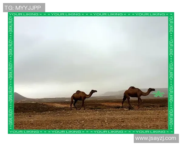 男神头像足球明星高清图片分享展现魅力与风采的完美瞬间